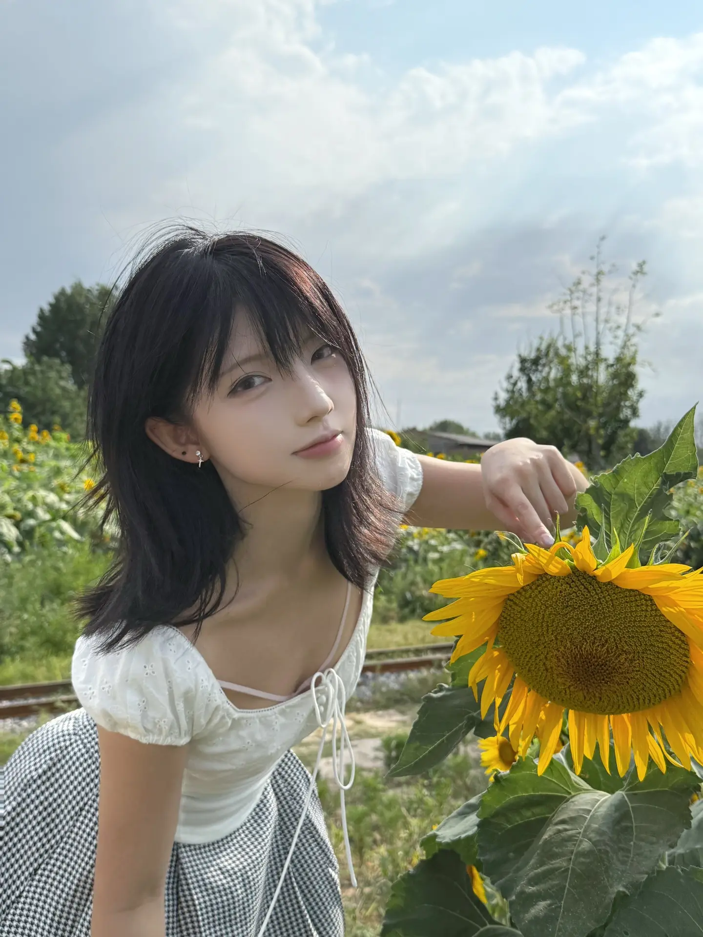 向日葵
