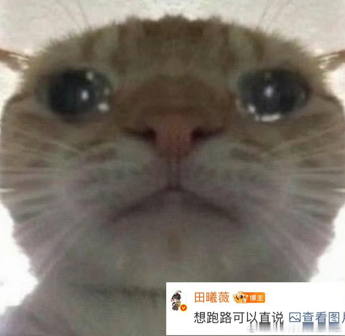 田曦薇 想跑路可以直说谁能拒绝小田这个超萌的流泪小猫！！！必须选择不离不弃，牢牢