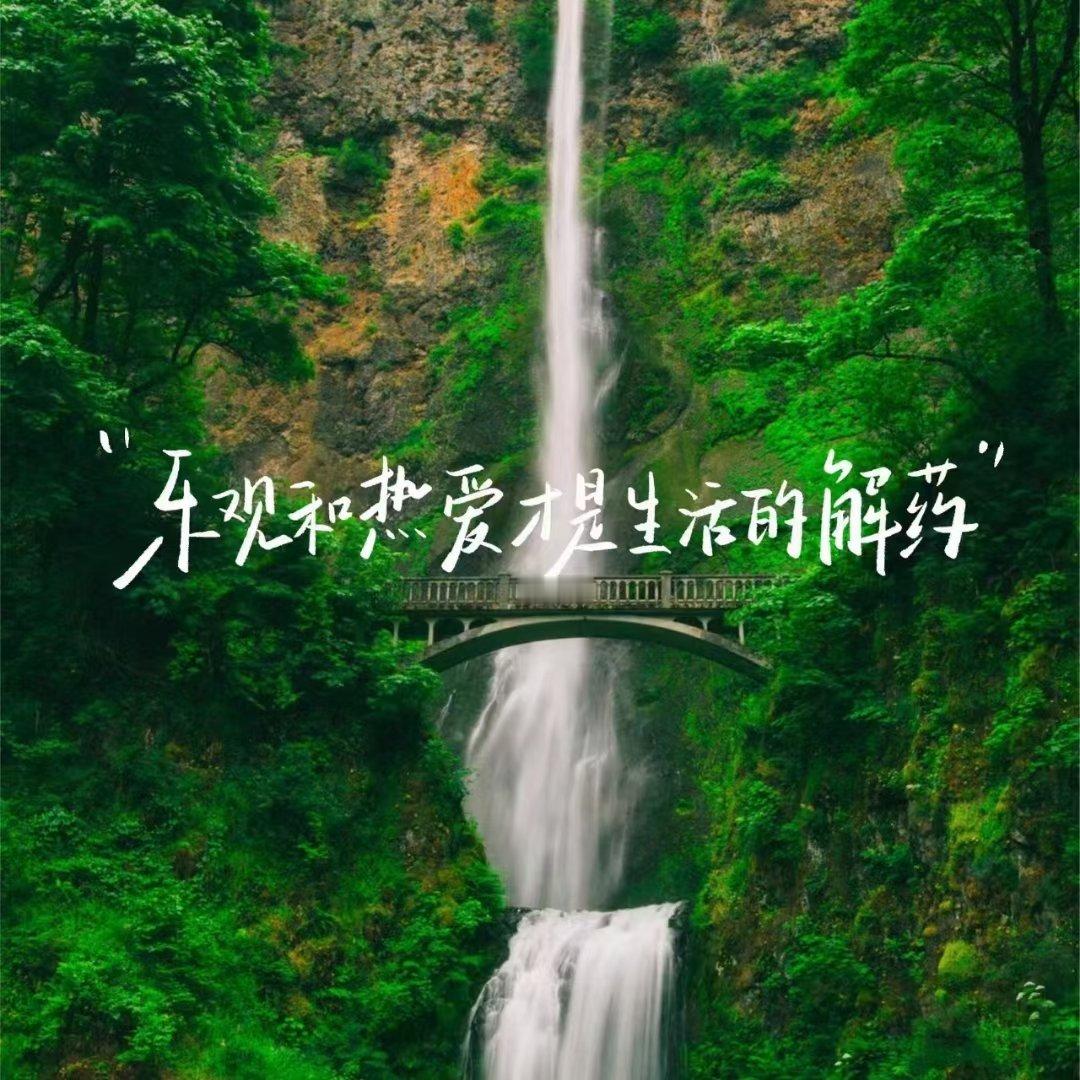 不要看见别人发光就觉得自己暗淡 ​​​