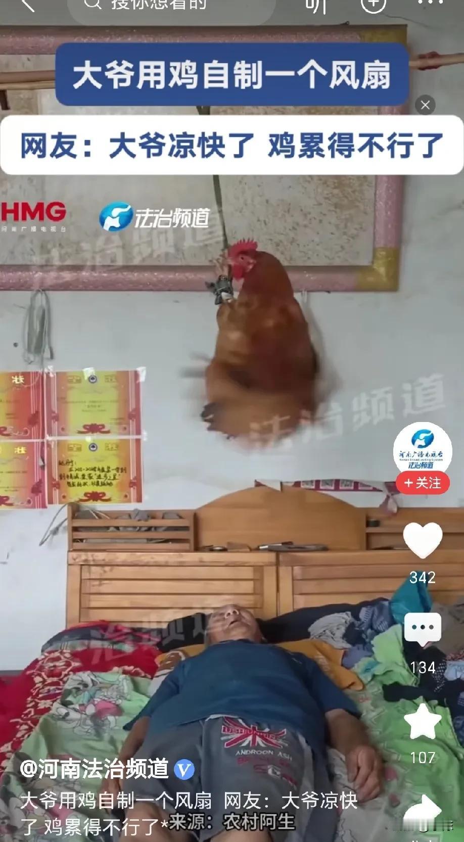 是个人才！大爷想睡个午觉，往床上一躺却热的不行，想凉快还想省电费，大爷灵机一动，