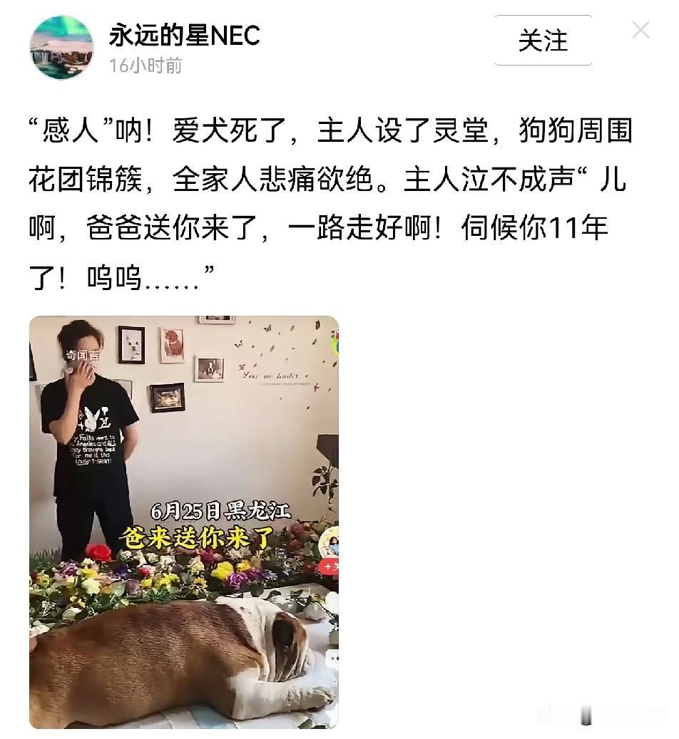 我就想问一句，如果你爹妈走了是啥排场？“爸来送你了”，这是扯明了承认自己是“狗”