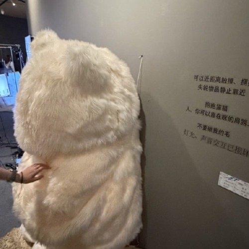 刷到央美毕业展的新闻，看得人心里堵得慌。本来毕业展是学生们熬了好几个月、把心血都