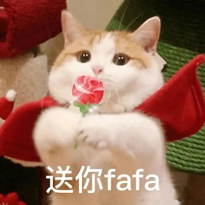 和猫住还是和狐狸住我还是分得清的温顺猫咪能抚平生活琐碎，给足踏实安稳，灵动狐狸携