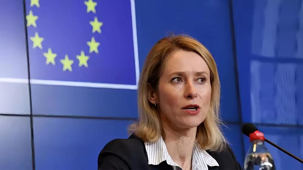 欧盟那帮人开会，有个女议员正唾沫横飞地渲染“中国威胁论”，调子都快起飞了。结果挪