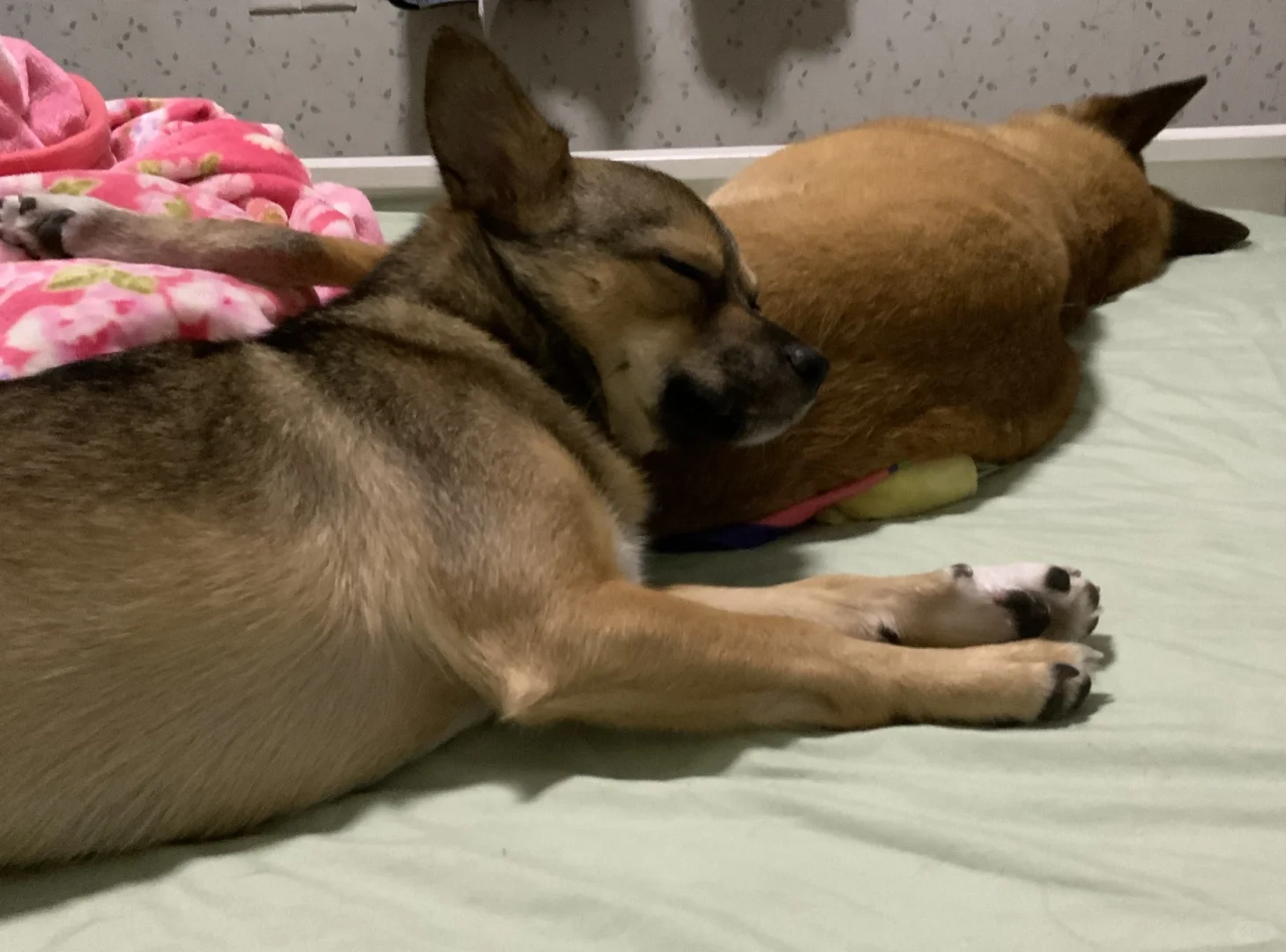 姐姐用你的屁股当枕头真舒服