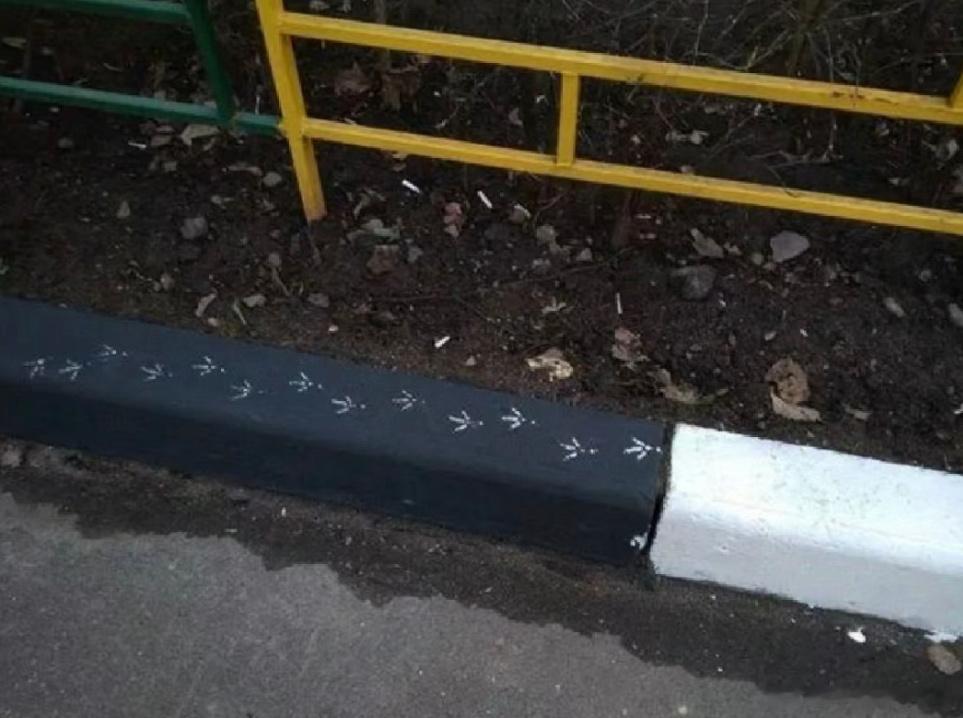 咕咕的签名🙊 ​​​