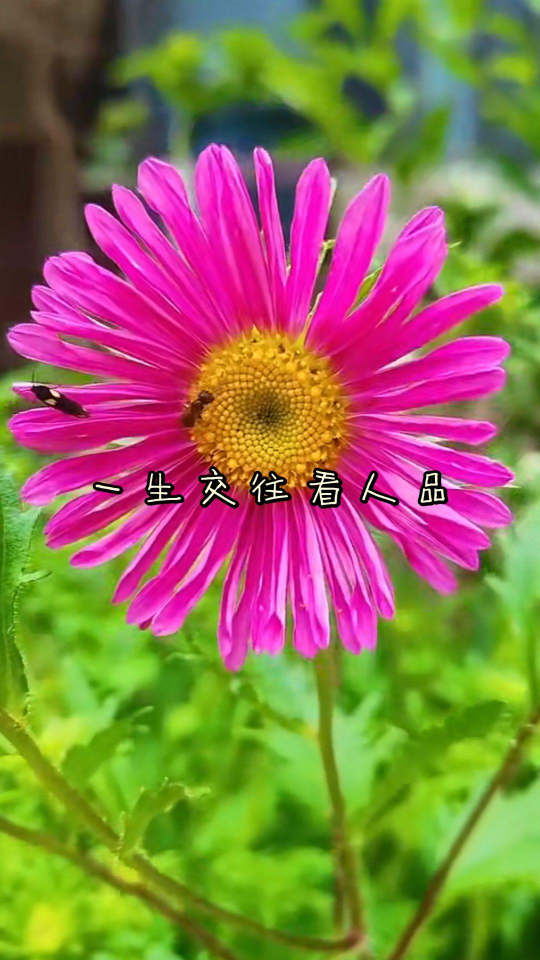 一生交往看人品