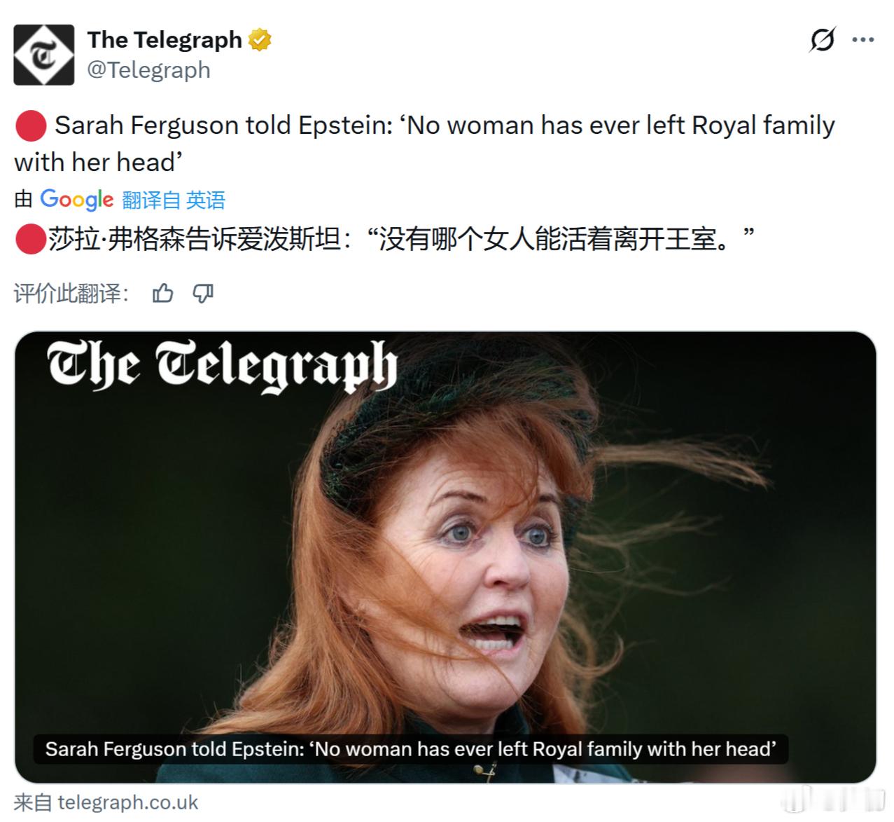 《每日电讯报》：根据新近公布的文件显示，前约克公爵夫人莎拉·弗格森曾在2010年