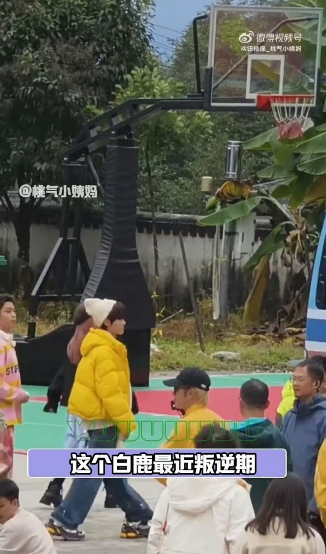 白鹿叛逆期到了张真源你忍一下 这样互动的氛围真的蛮感染人的 白鹿的调皮和真源的稳