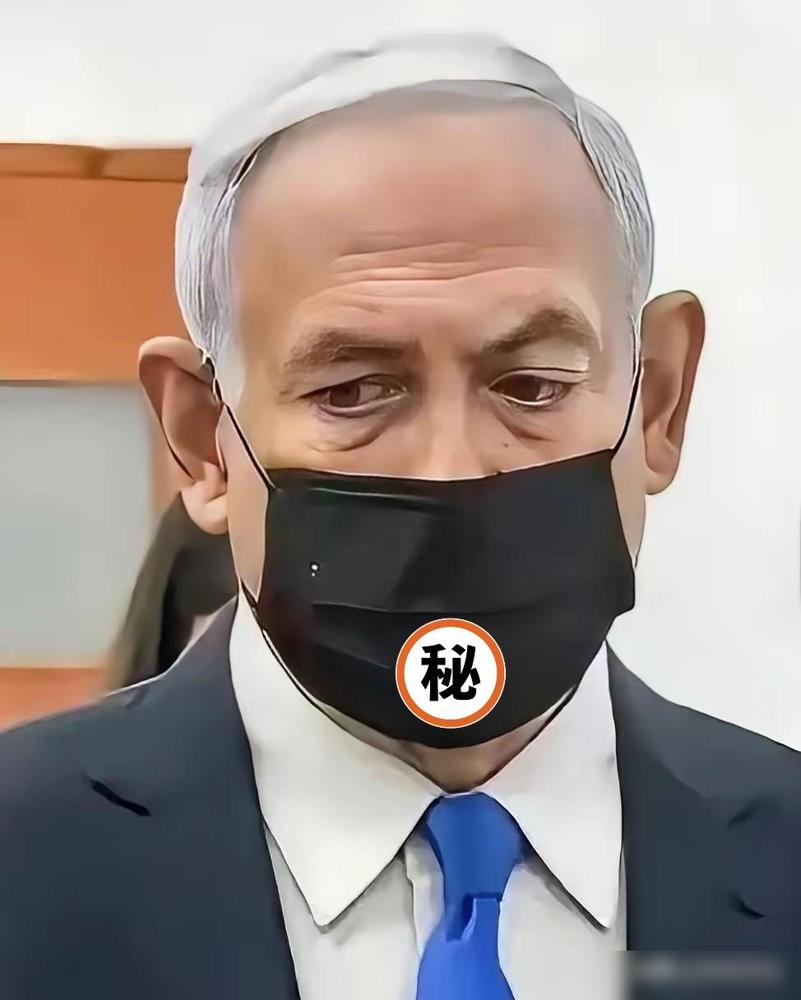 内塔尼亚胡成以色列首位在任受审总理，中东局势又添新变数

这一幕，终究还是落槌了