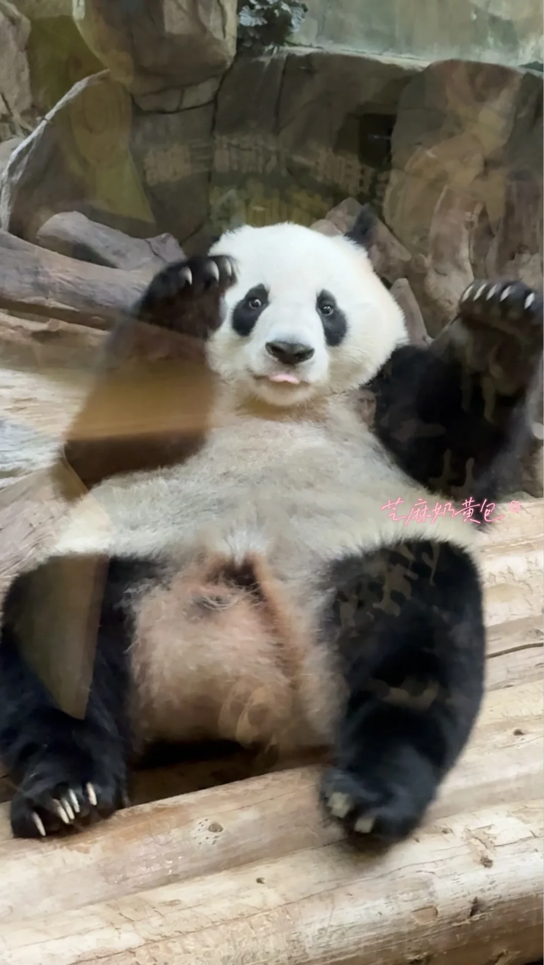 人 要来庆的温暖怀抱里吗？