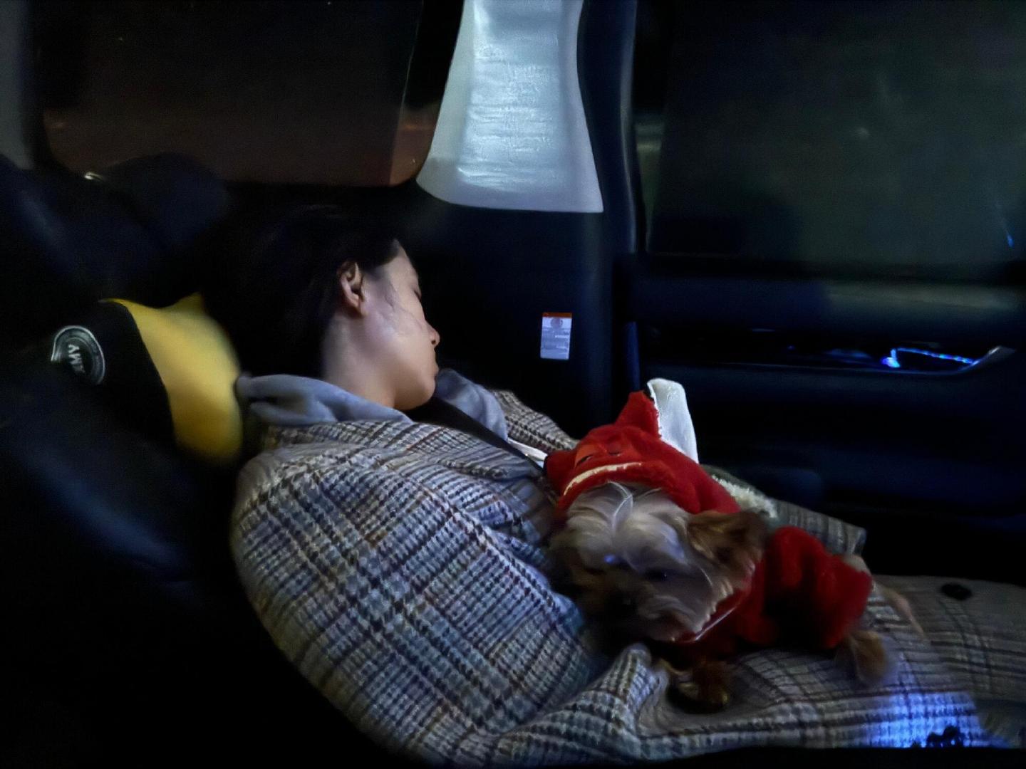 我想象中我睡觉的样子…🥹张婧仪 怎么会有人睡觉也这么好看