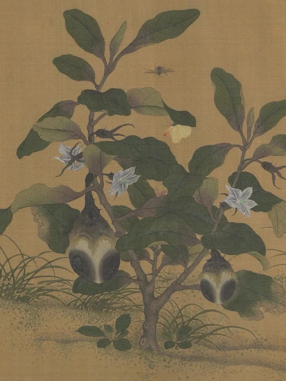 茄子，吃了吗？
茄子，又叫落苏、酪酥、昆仑瓜，
叫落苏，是因《五代贻子录》作酪酥