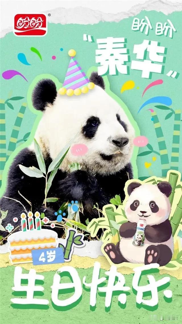 在西安提到秦华，别只想到天然气公司，它还是一只可爱的秦岭大熊猫——全球唯一一只圈