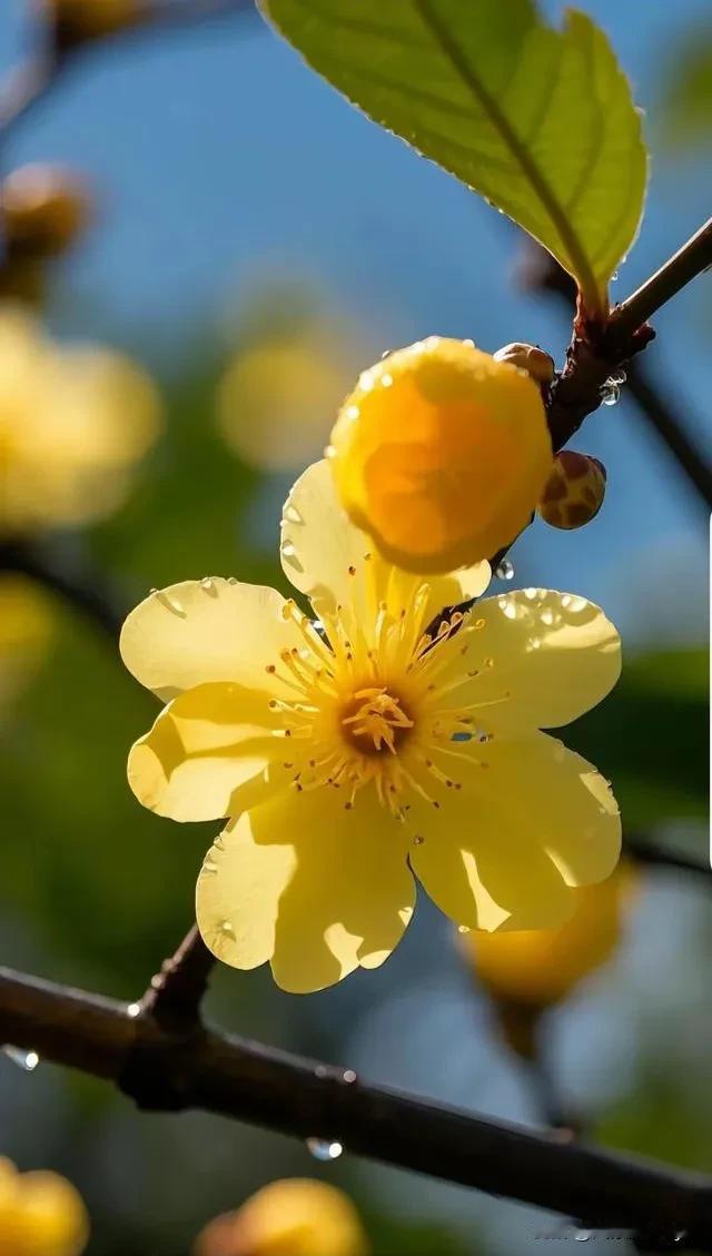 分享生活中美好愿望，开心快乐每一天