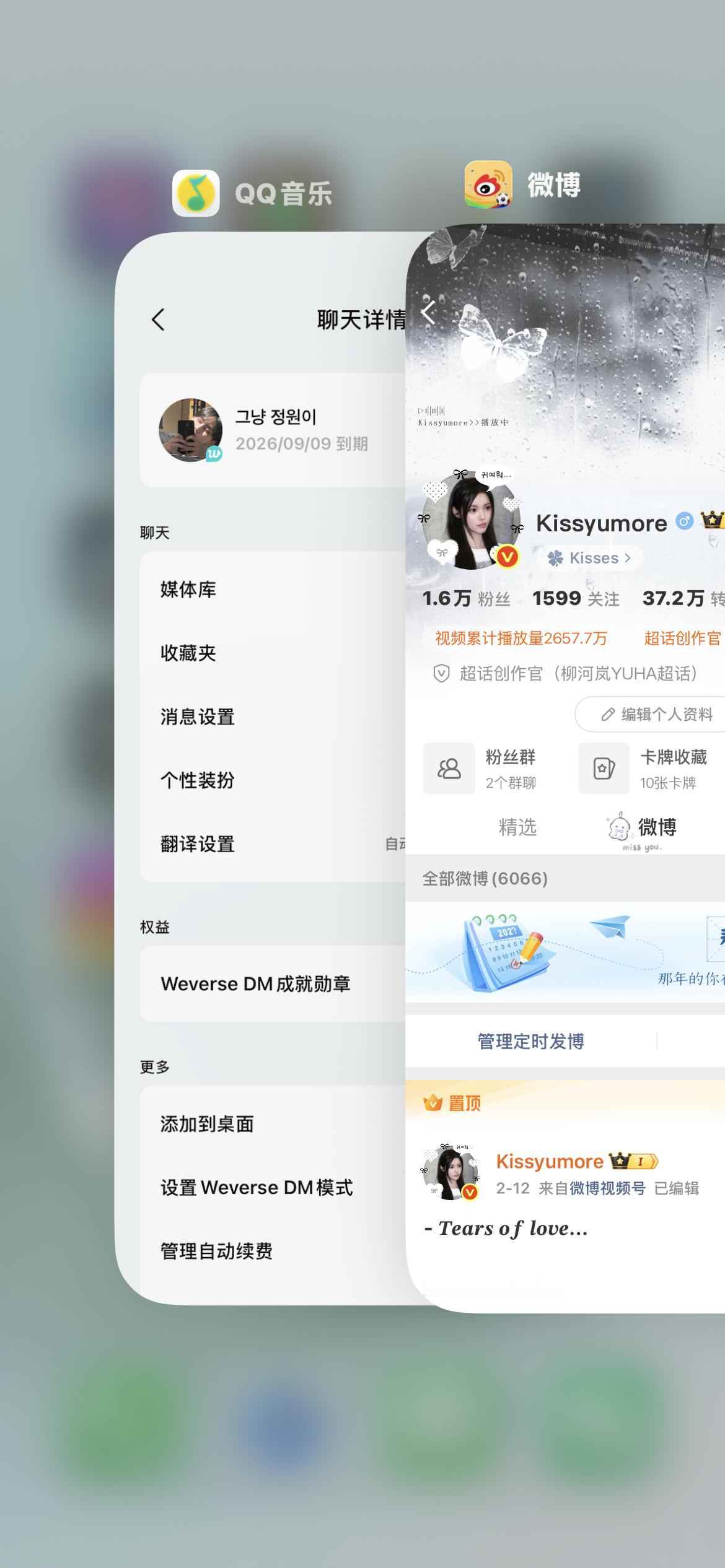 祯元8月DM审核