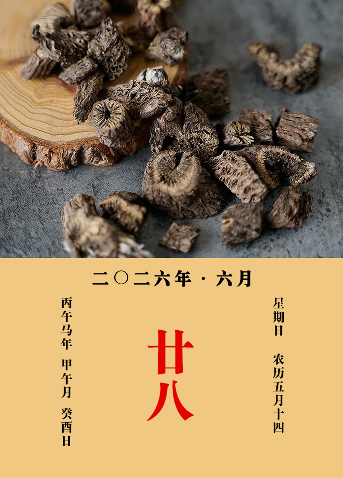 每天一味中草药 甄权说：漏芦，主通经脉，治骨节疼痛，痈肿、疔疮、瘰疬、乳痈，能排
