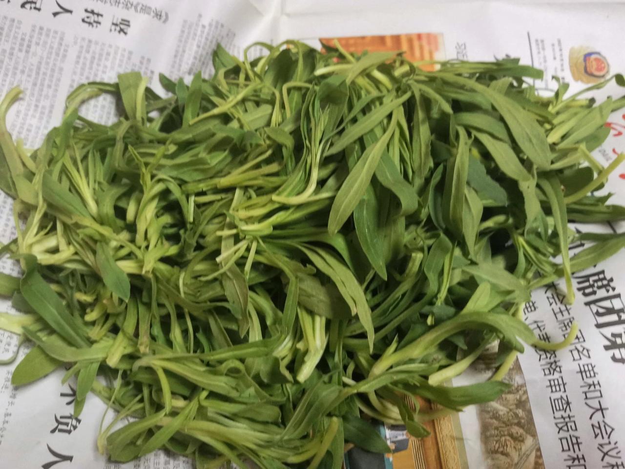 有人送了一些面条菜，要怎么吃好呢？
#从家带来的菜# 
#纯绿色野菜美食# 
#