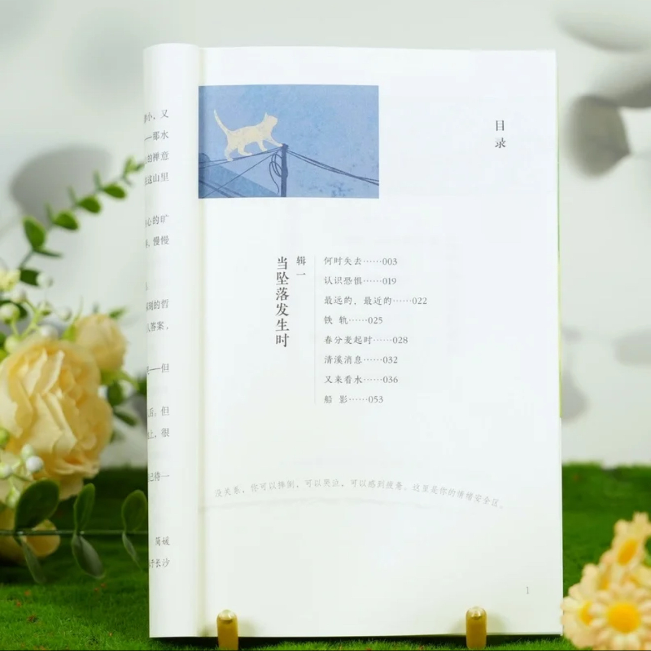 十点读书 与内心和解，寻一份自在从容在一个淅淅沥沥的雨天，寻了一处安静角落细读简