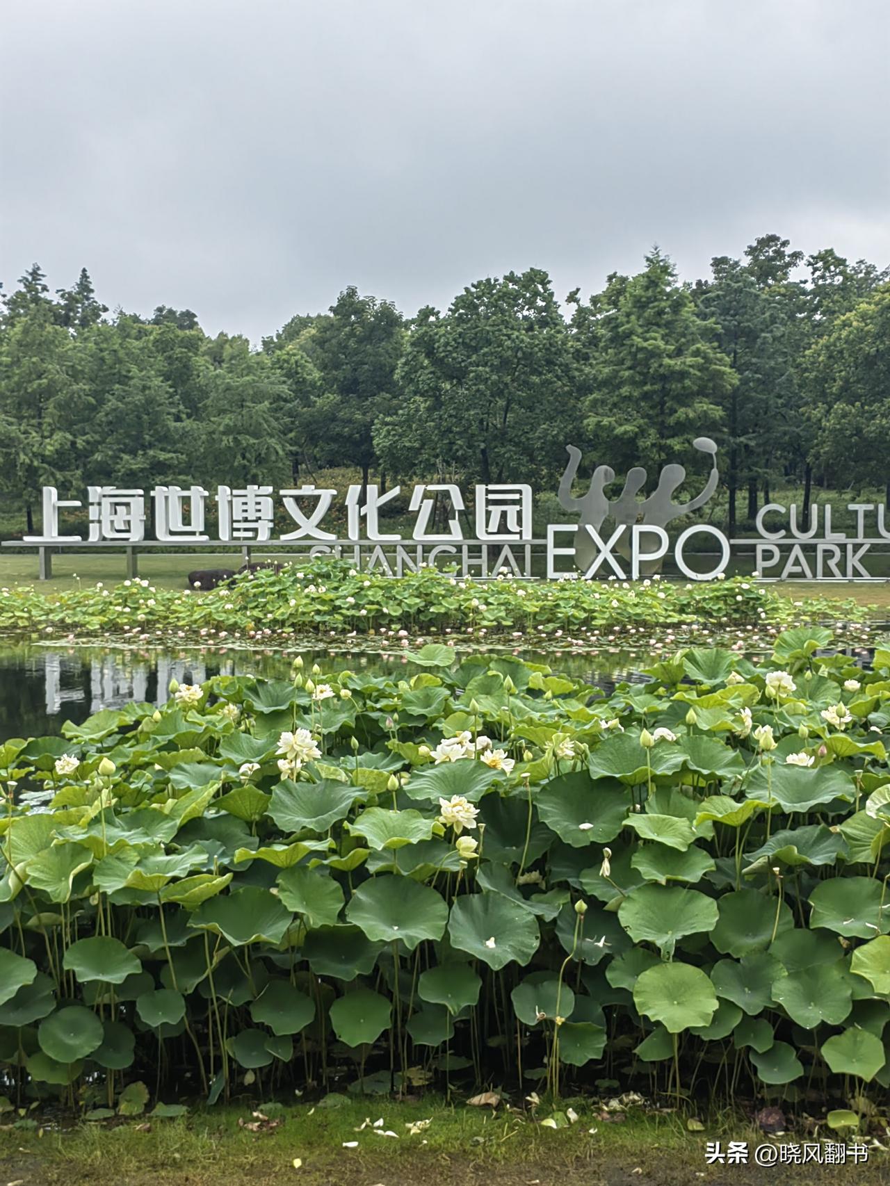请给我重新发一个夏天


那年，刚刚参加工作
一切都是新鲜的，而我却略显木讷
但