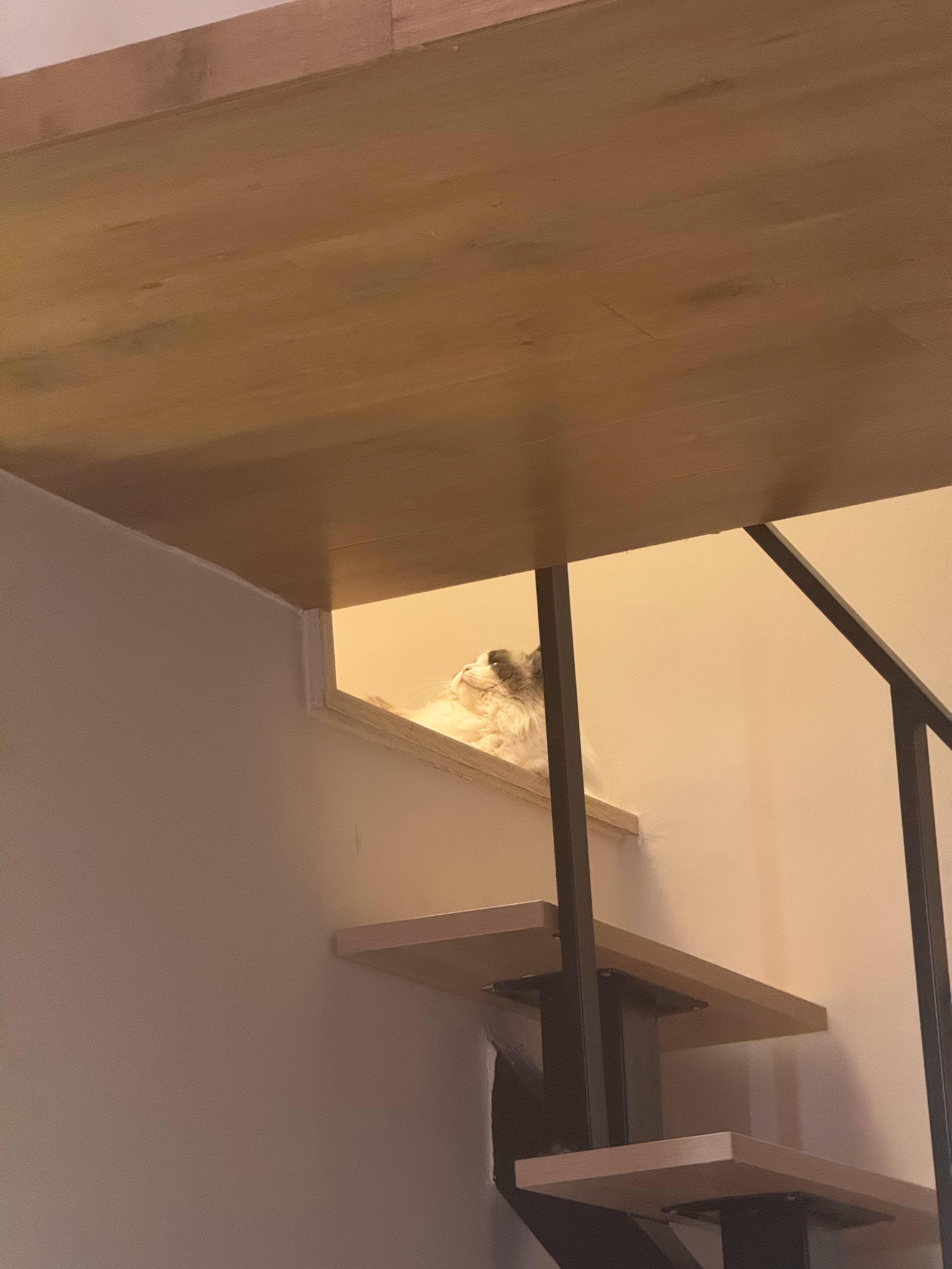 生活手记 到底有啥好看的天天不睡窝