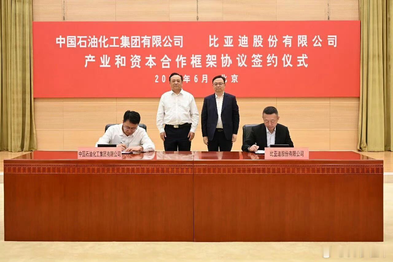 比亚迪与中石化战略合作 🎊