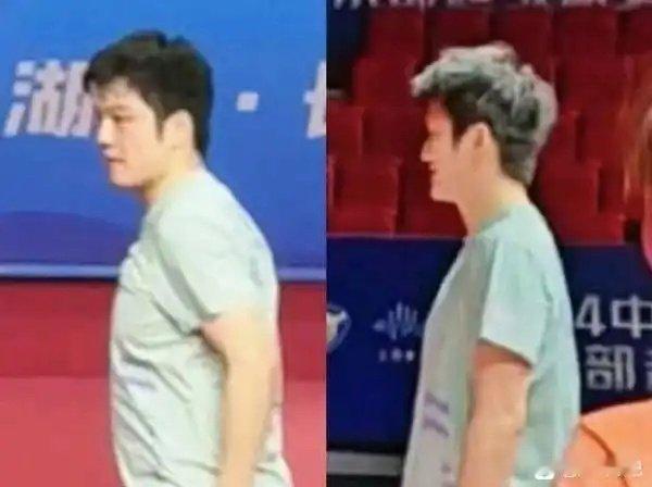 樊振东瘦成薄薄一片了 虽然说薄薄一片有点夸张，但短短十来天确实瘦了很多，至于为什