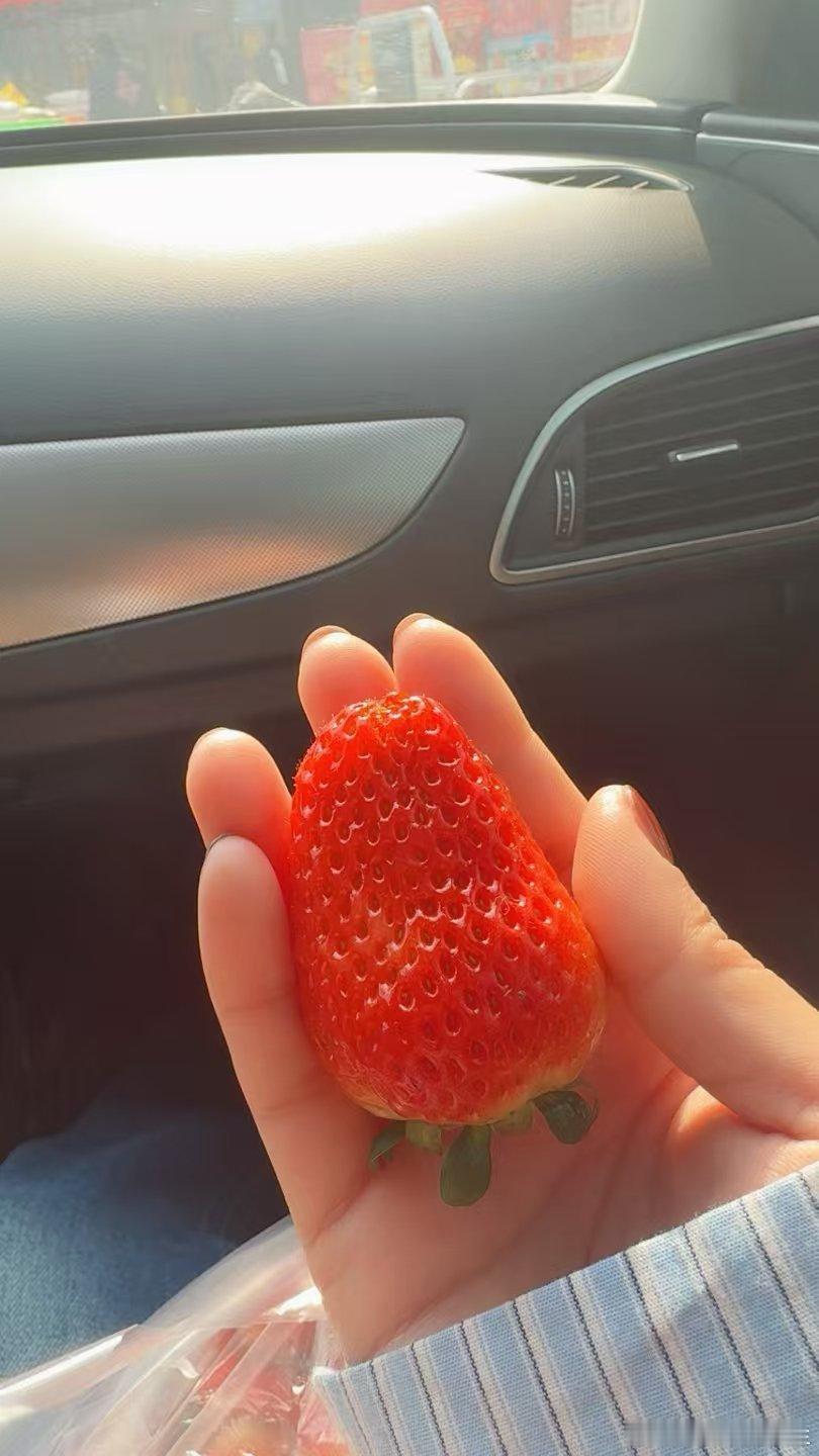 一早就出门采购，来颗草莓吃吃，甜甜哒～ 