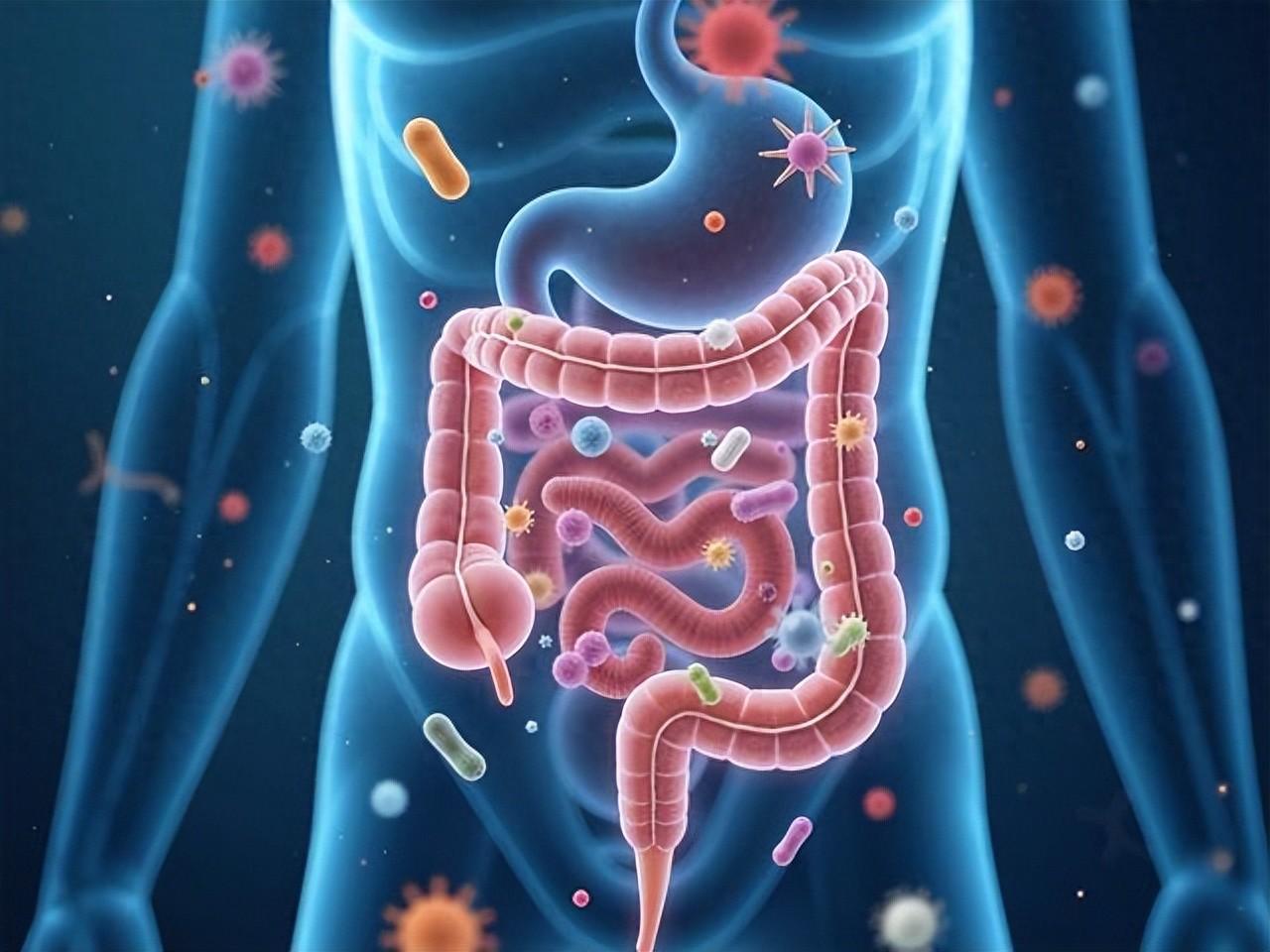 便秘不是火太旺，是肠内气不足！一个中成药：增液 + 行气，肠道通、排便畅！
大家