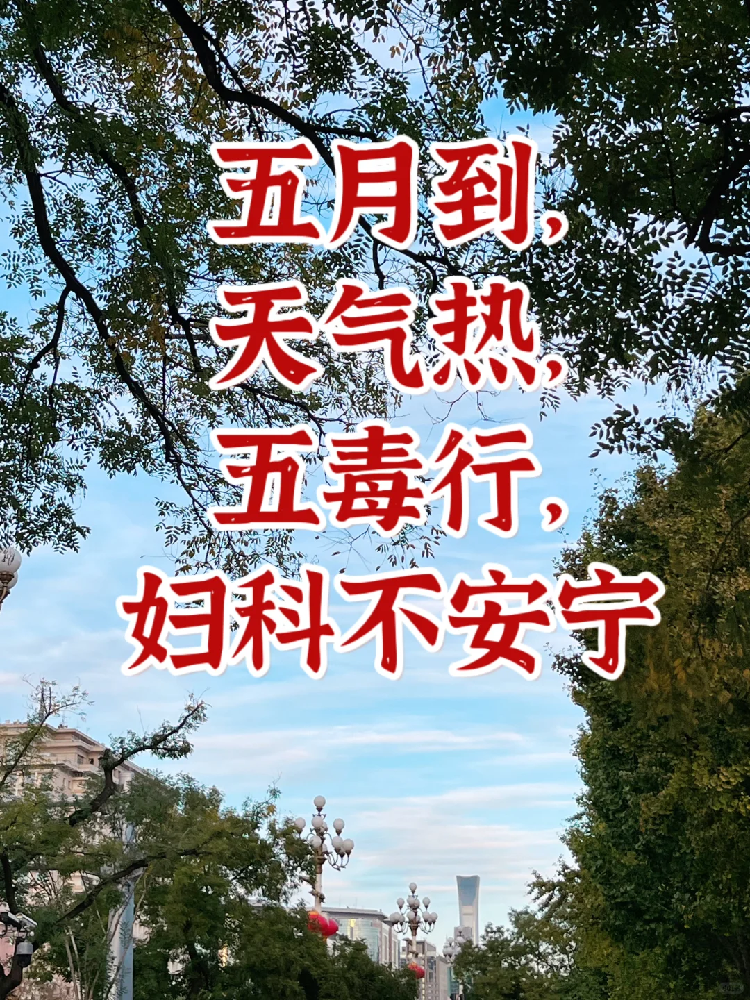 养生日常|妇科调理有大学问（痒🐏，味道）