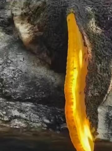 江西，48岁王姓男子上山观赏风景摄影，在返程时感觉疲惫，打算休息一会儿。突然，他