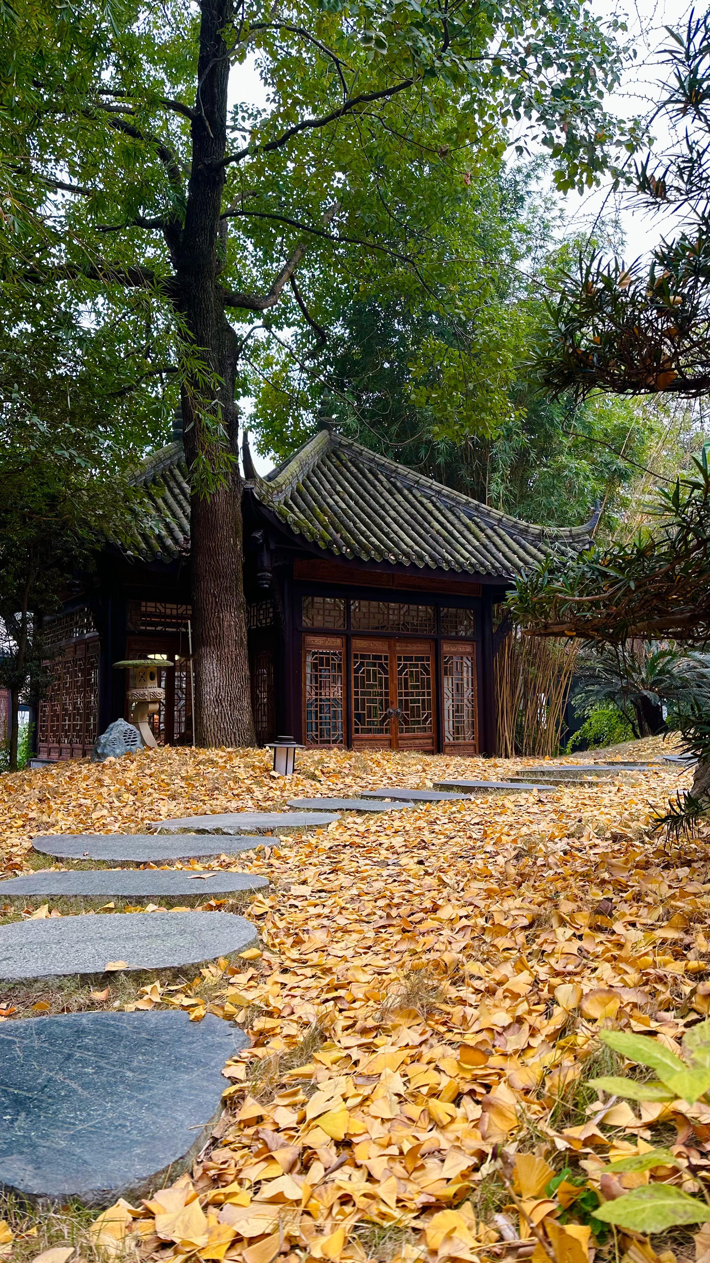 2023年的最后一天～  ​​​