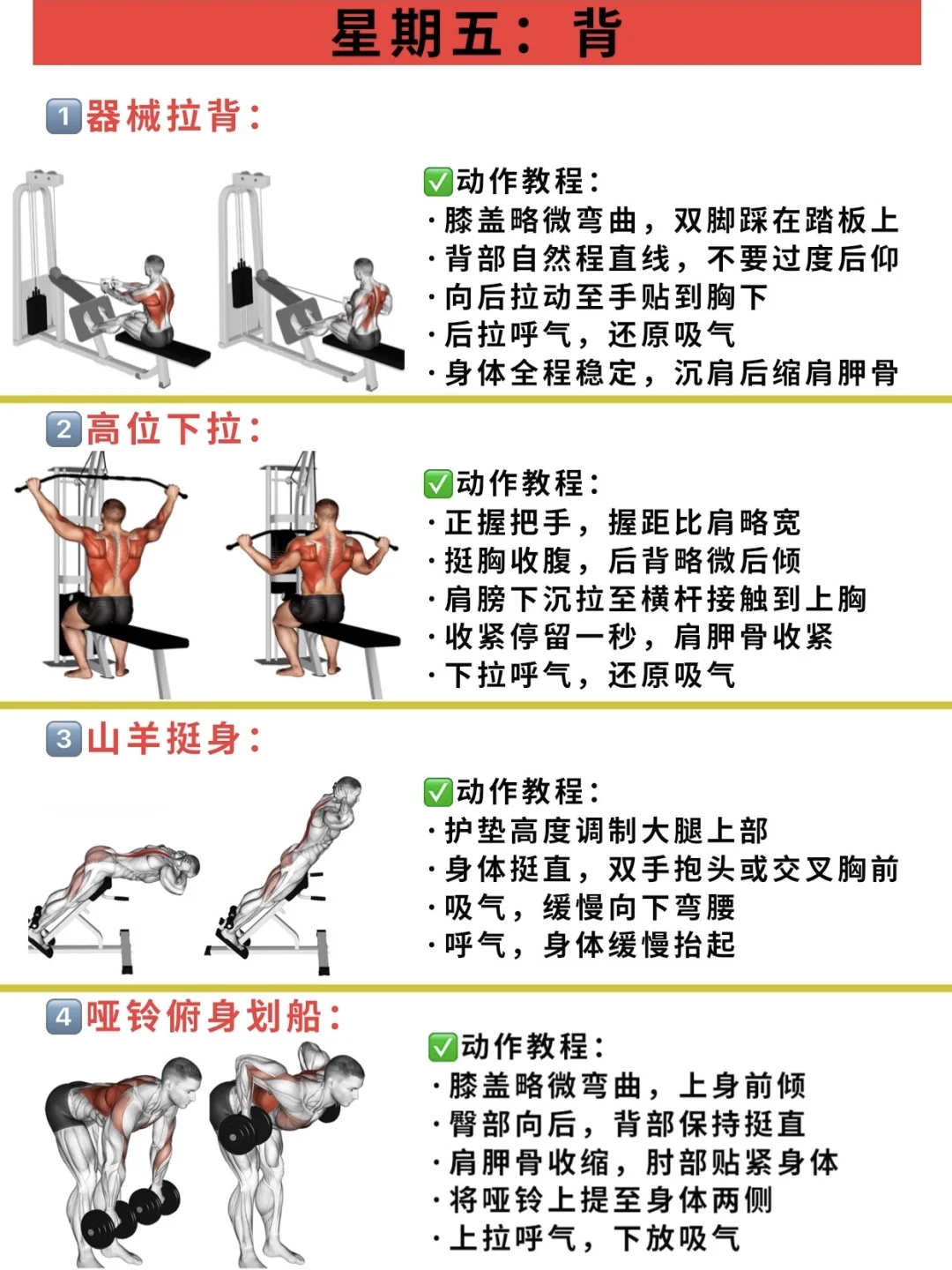 健身房计划！一周练全身，适合健身房新手