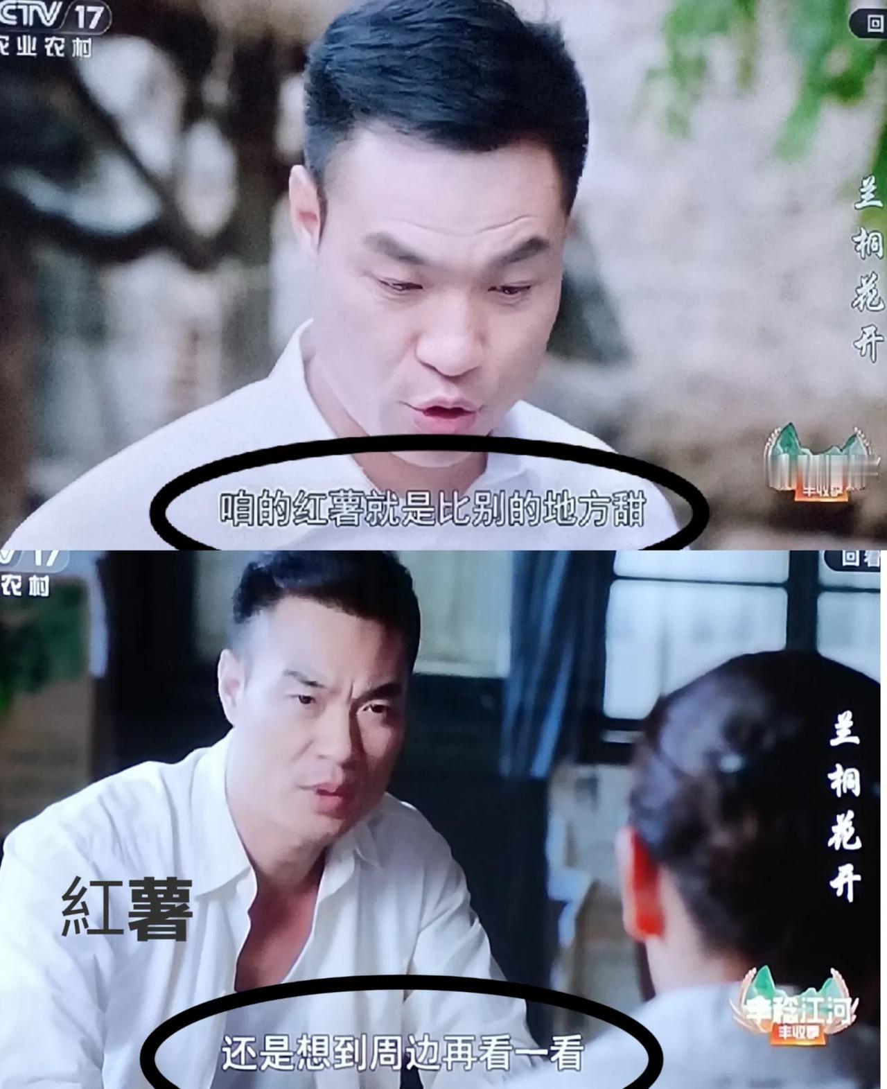 《蘭桐花開》:紅薯？？？