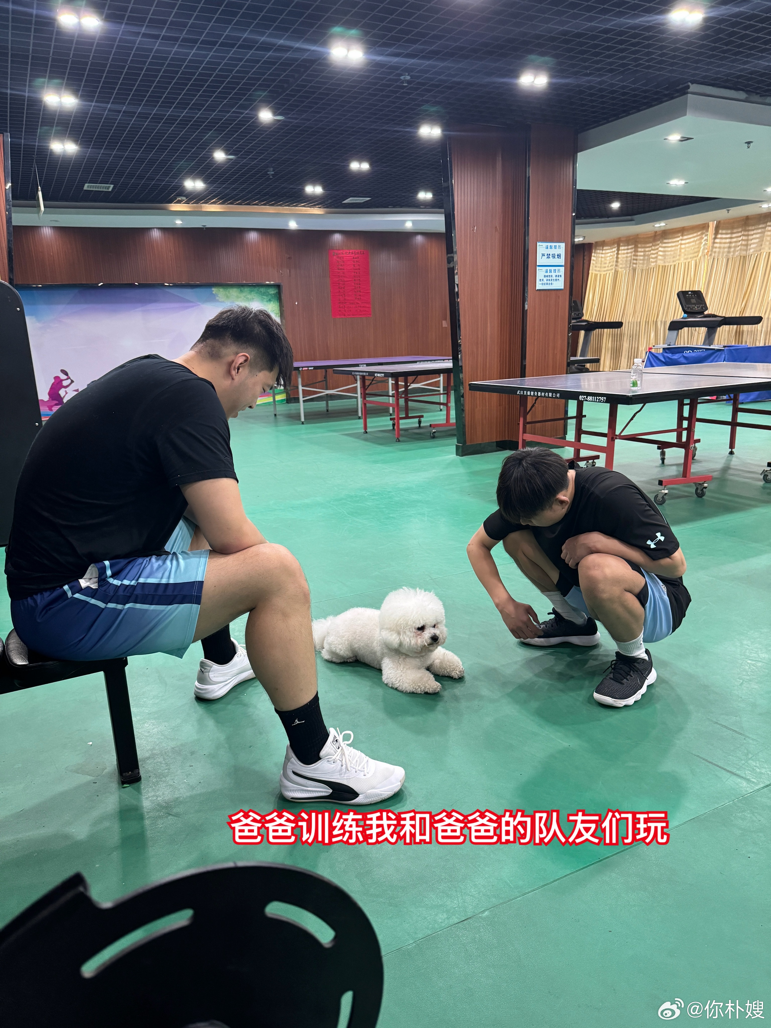 博手机里的兜兜好可爱 