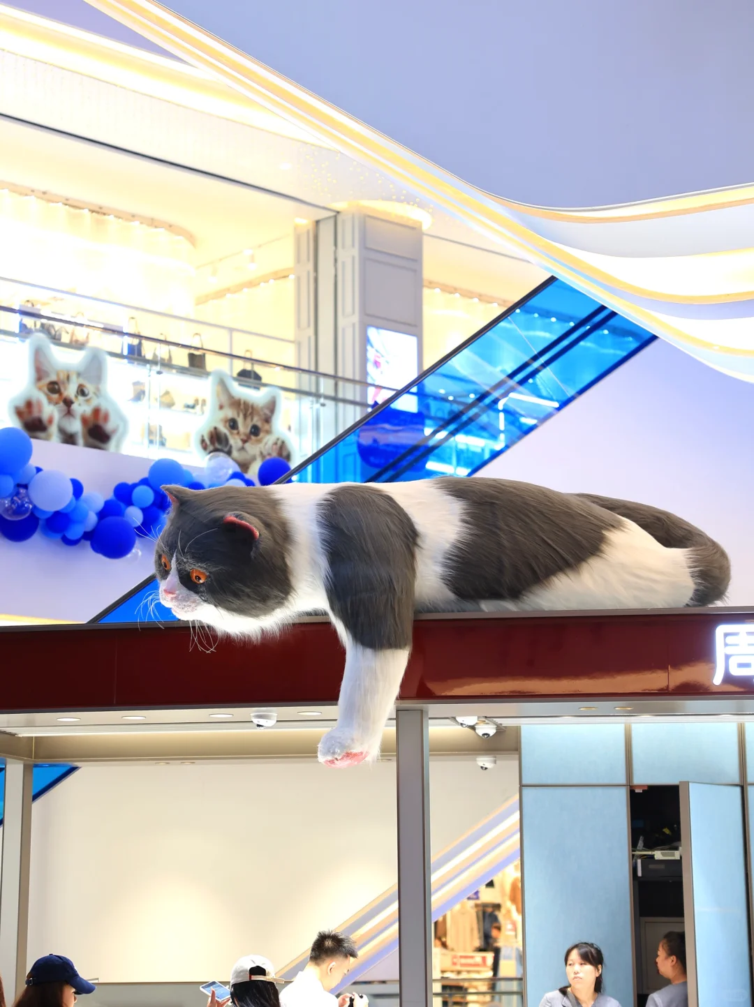MOMOPARK变身猫猫PARK🐱