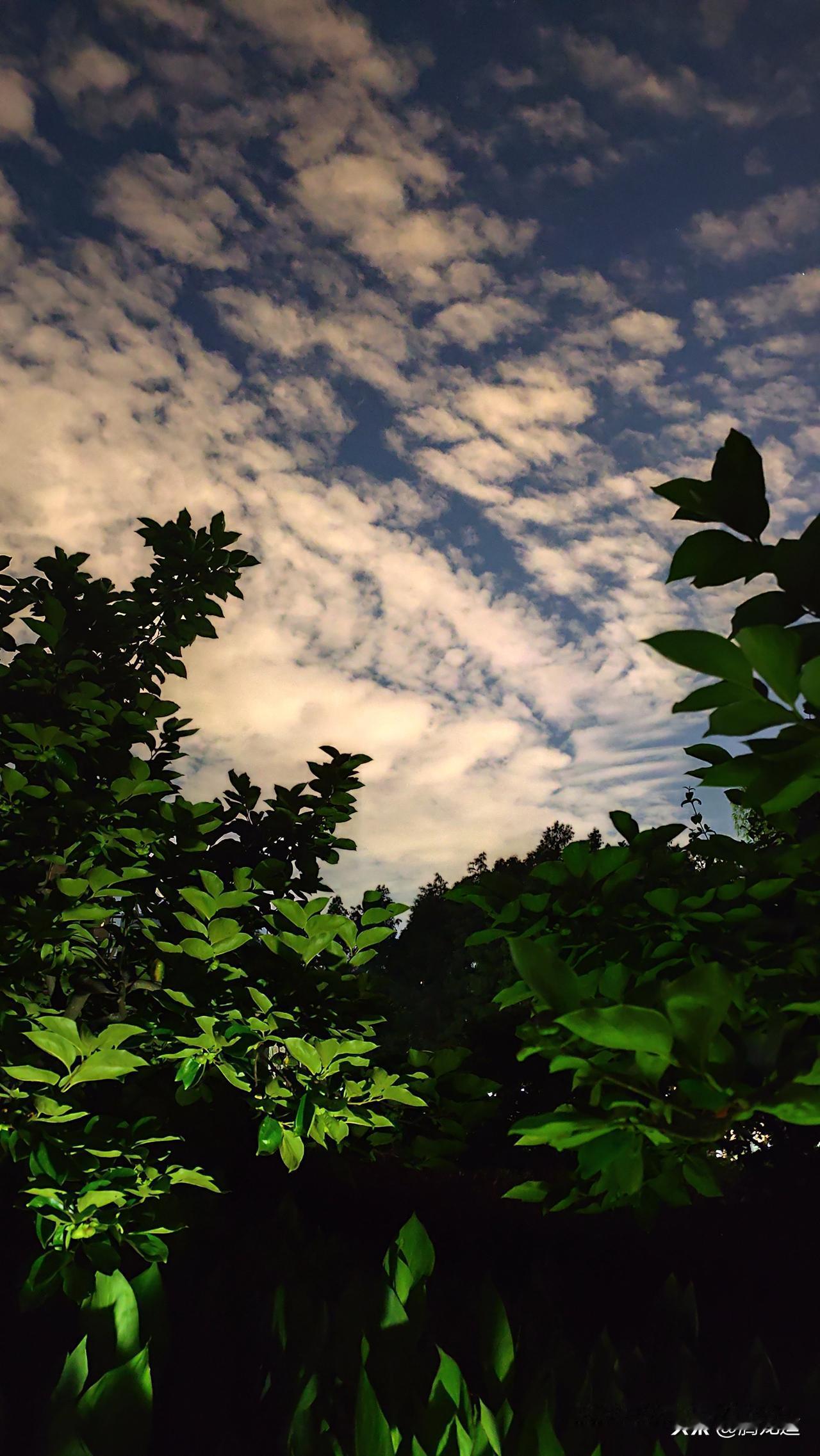 真心话茶局夏日夜晚天空景色瞬息万变，蓝天上白云变幻着舞姿飞翔，小树林仿佛也变的更