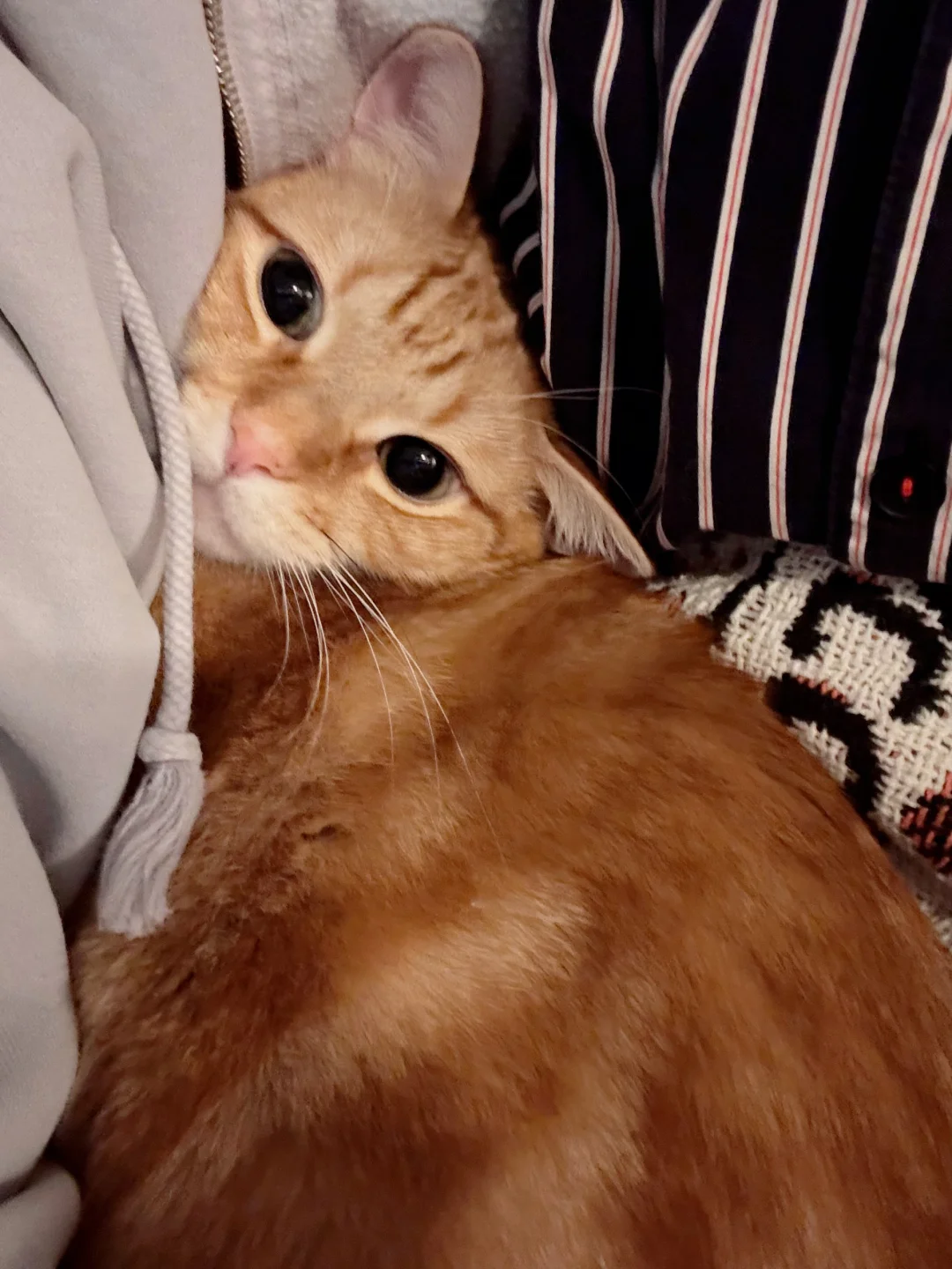 暴风雪天当然是要粘着麻麻