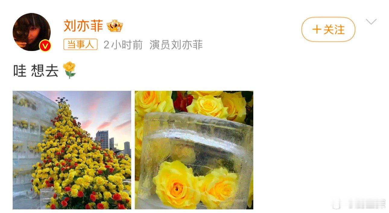 哈尔滨文旅回复刘亦菲   “从此世界在我面前，指向我想去的任何地方”  哈尔滨这