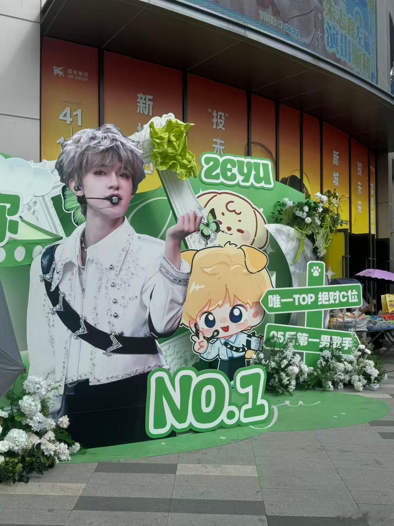 我以为我看不到花墙了这次我朋友专门跑去拍给我的OMG