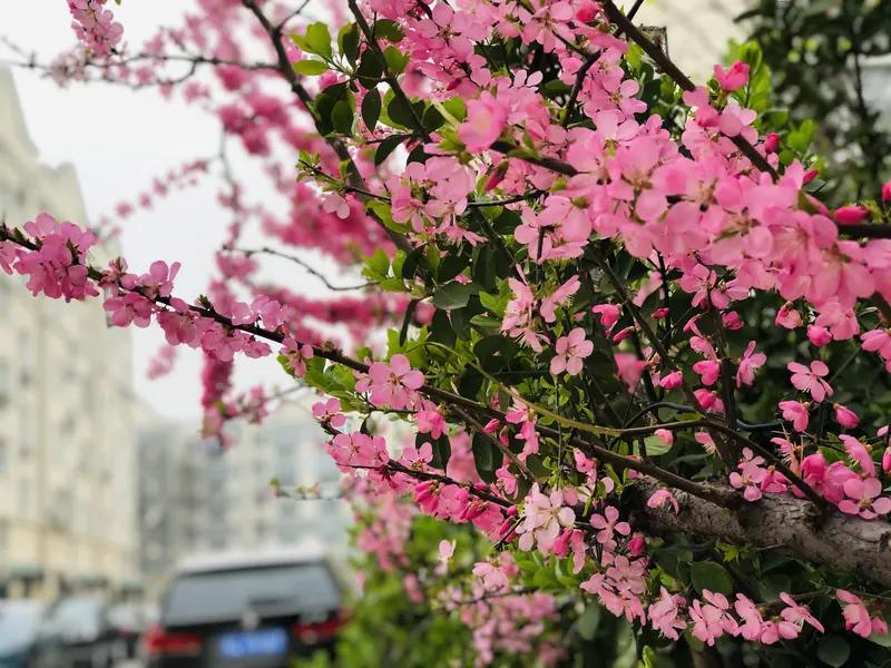 上联:霜欺雨打寒风啸，邀对下联？春暖花开春色好。