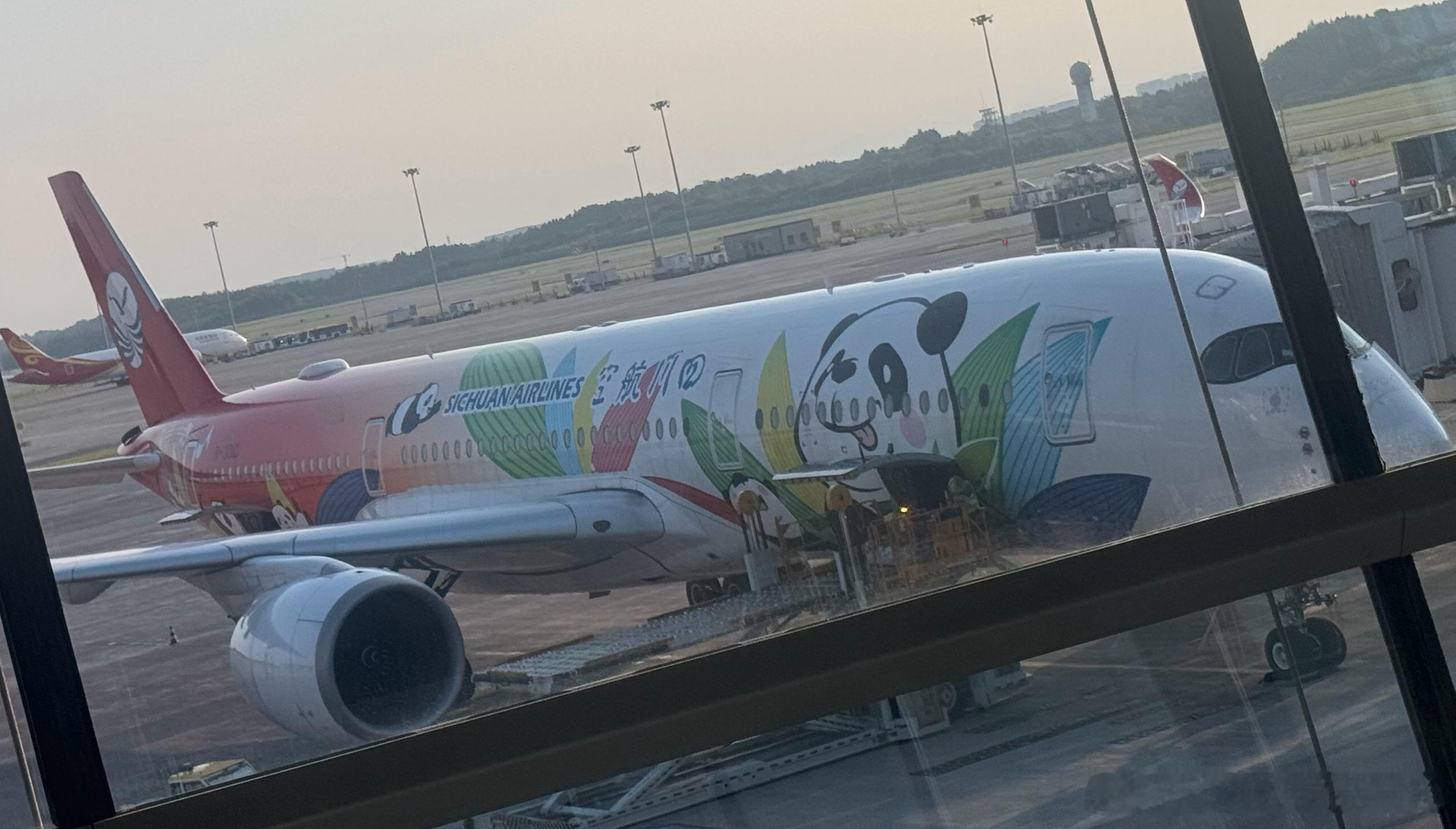 这个机场也好大哦[嘻嘻]  ​​​