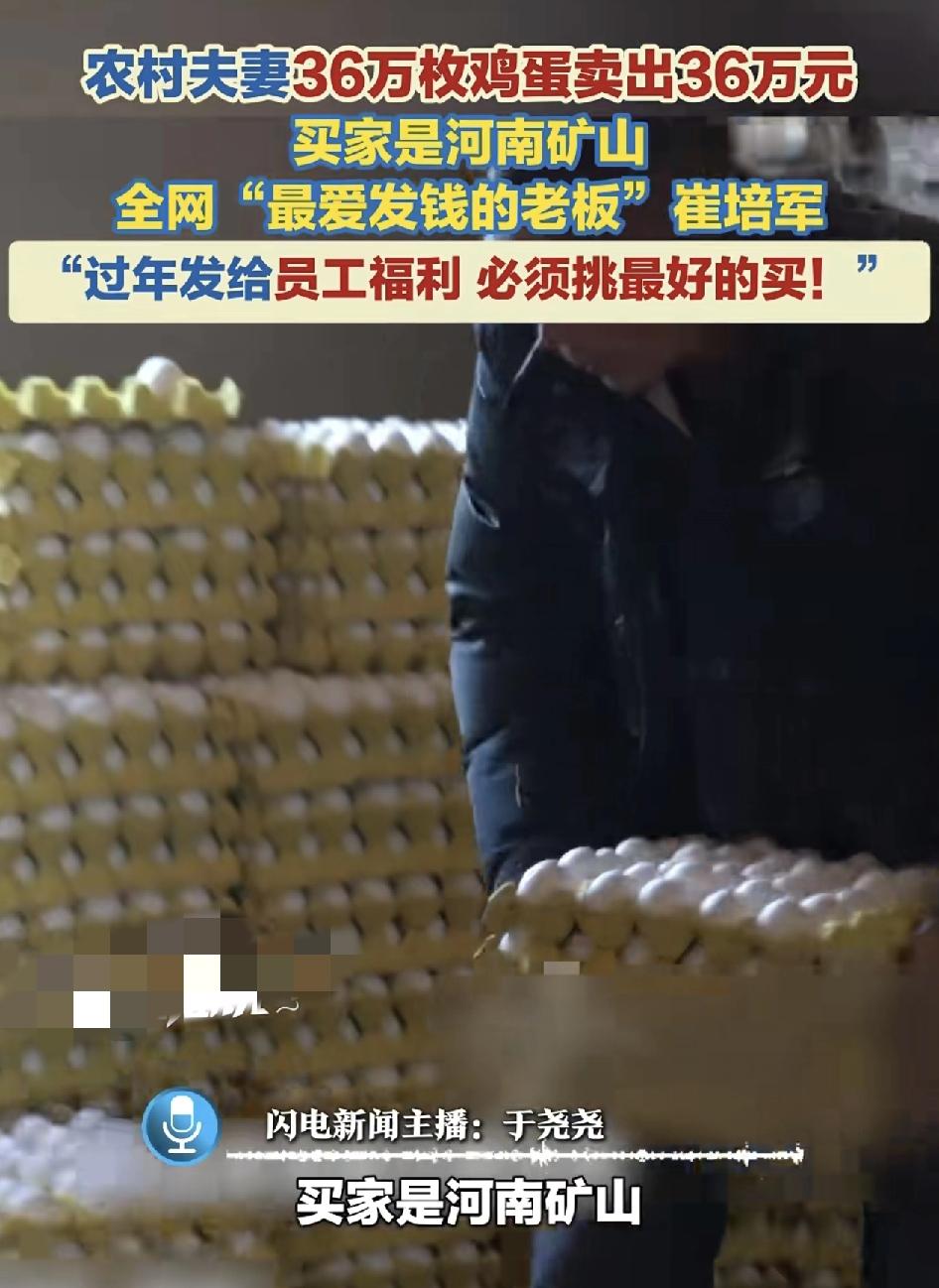 河南一对农村夫妻自家养的无菌土鸡蛋一共36万，卖出了36万元的价格，买家是河南矿