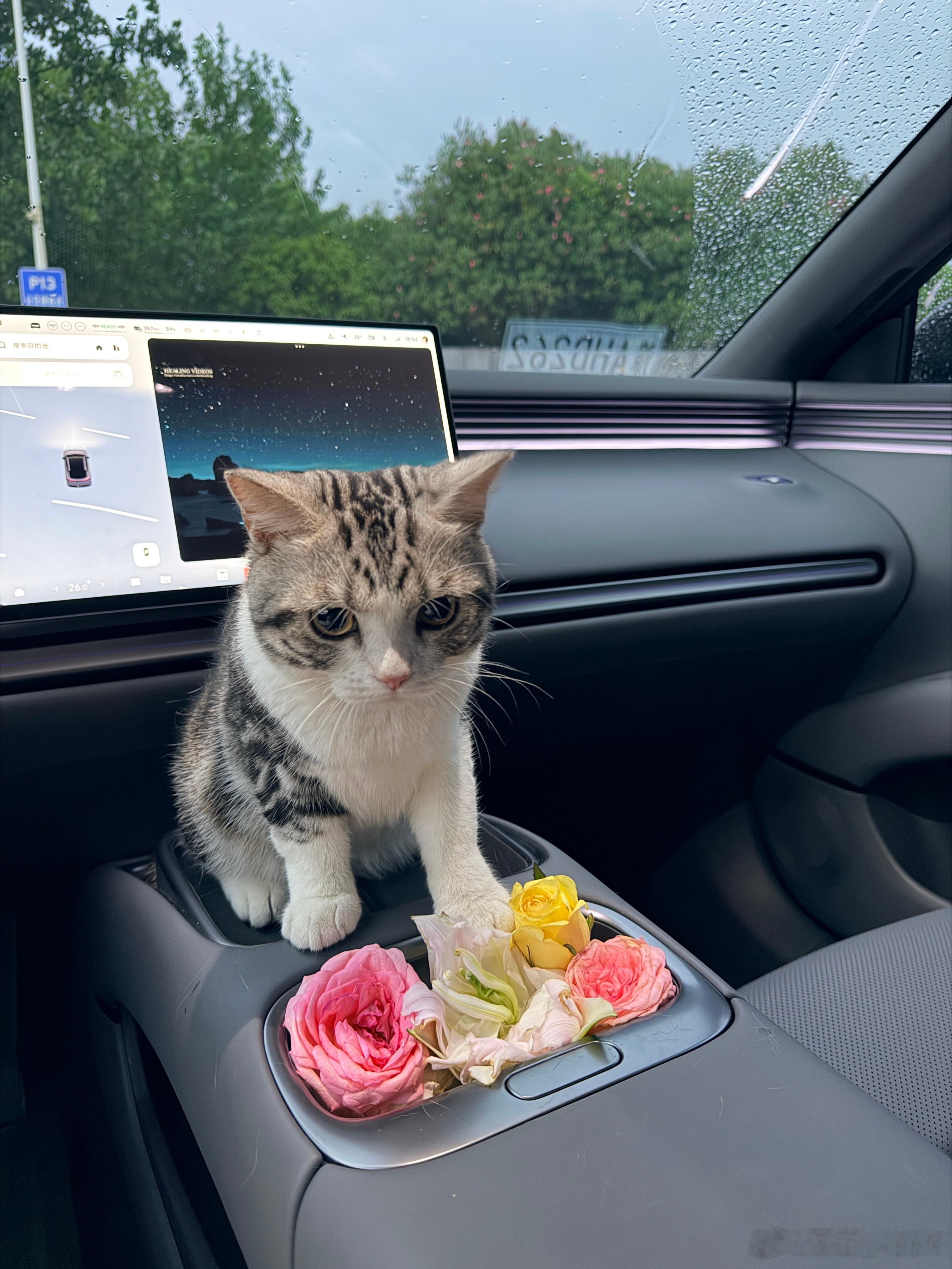 给大家云吸🐱咯谁家小猫已经坐上了小鹏MONA L03哦吼 是Happy汽场全开