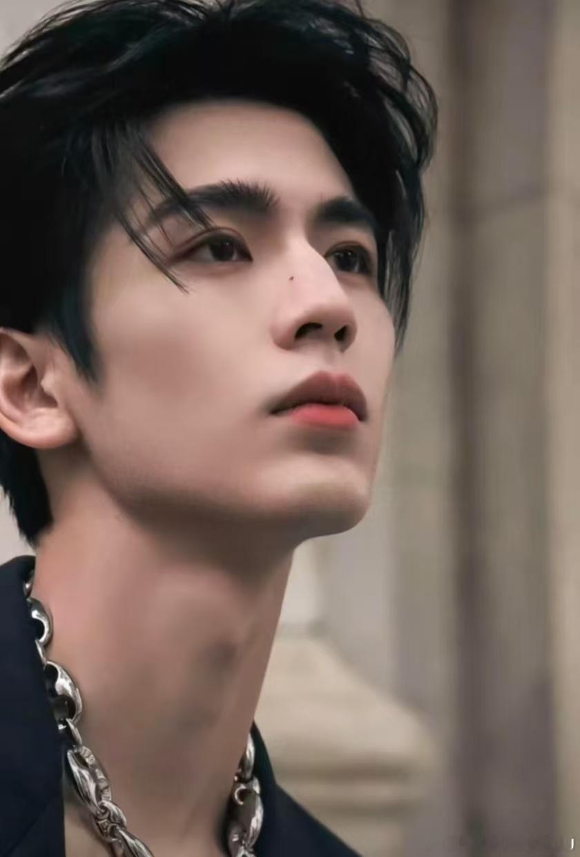 张凌赫张凌赫打戏的权威我后知后觉 很难得能兼顾清冷气质与武打爆发力，这段完整版打