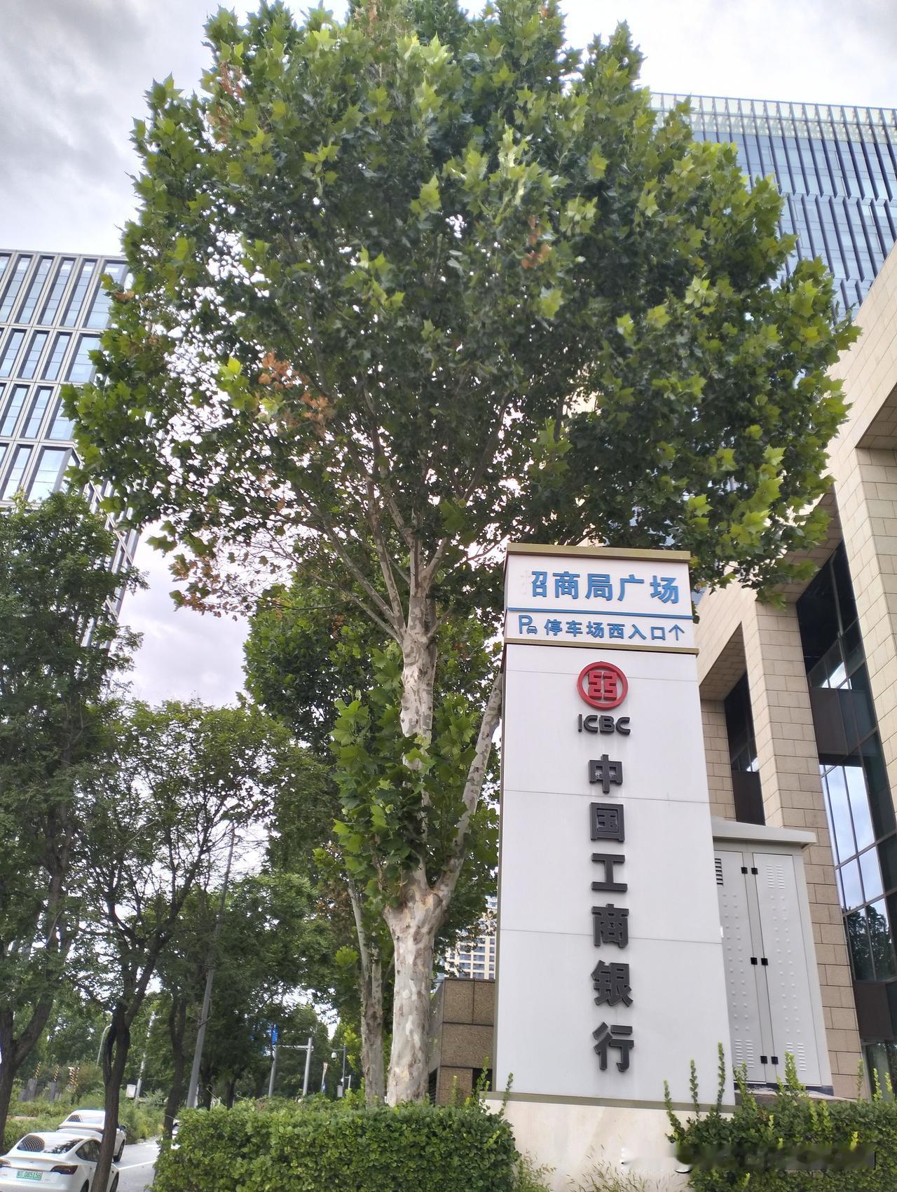 有网友问：