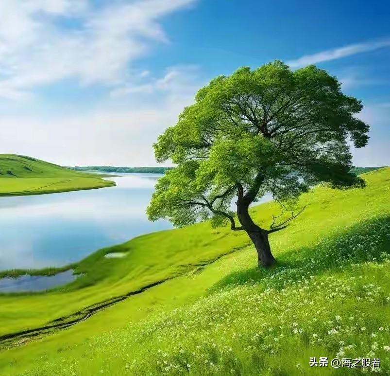 周末一日两餐，这是上午的。看起来挺丰富的，少油少盐，易消化。

生胡萝卜吃过吗，