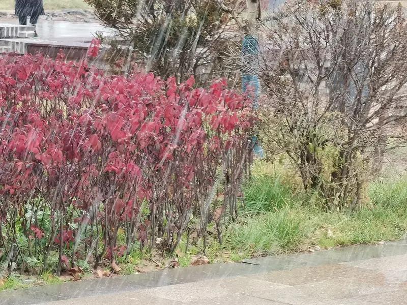 上联“淋春夏秋冬雨”，下联难倒全网！网友神回复，最后一个绝了
 
刷到这条视频的