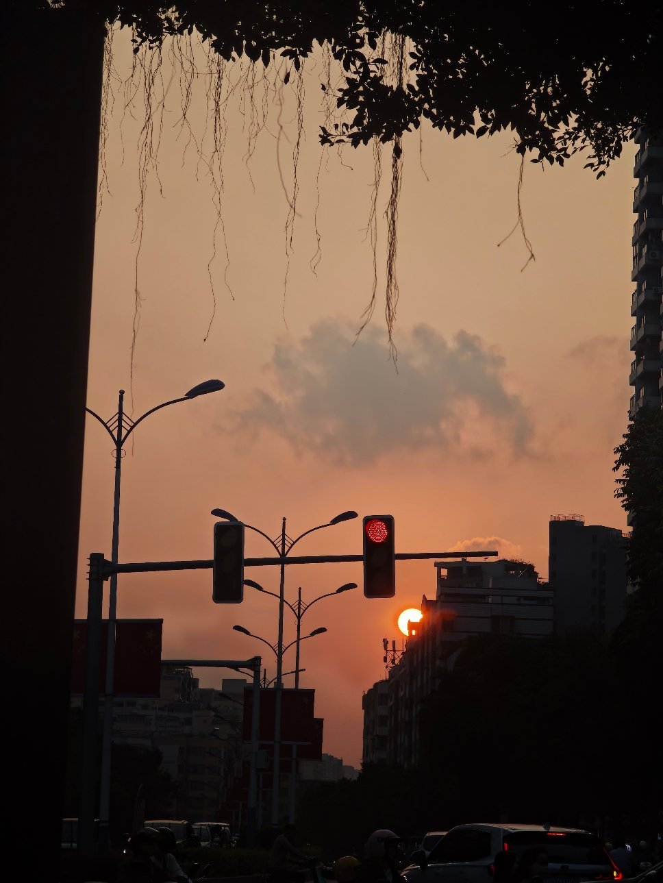 归途漫漫，晚风轻拂，抬头便看到落日。橘红与金辉漫过天际，云朵被染得温柔缱绻，余晖