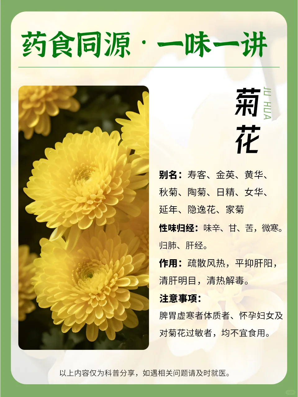 春天来杯菊花茶，给身体去去火~